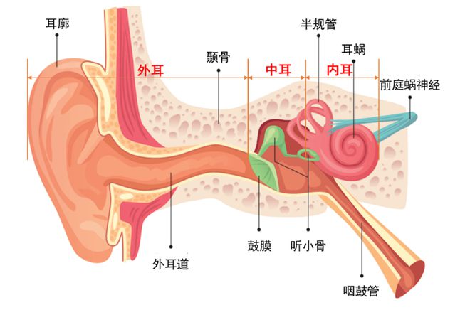 建议买吗？夹耳式耳机推荐AG真人游戏夹耳式耳机最(图3)